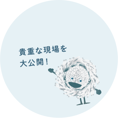 貴重な現場を大公開！